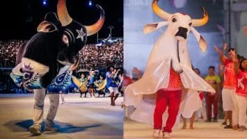 Fotos: Pedro Coelho e Elcio Farias