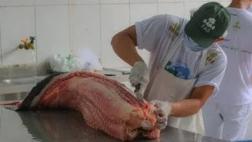 Foto: Emile Gomes