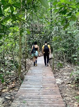 Museu da Amazônia faz promoção para visita turística em Manaus