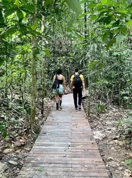 Museu da Amazônia faz promoção para visita turística em Manaus