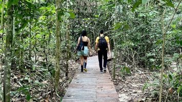 Museu da Amazônia faz promoção para visita turística em Manaus