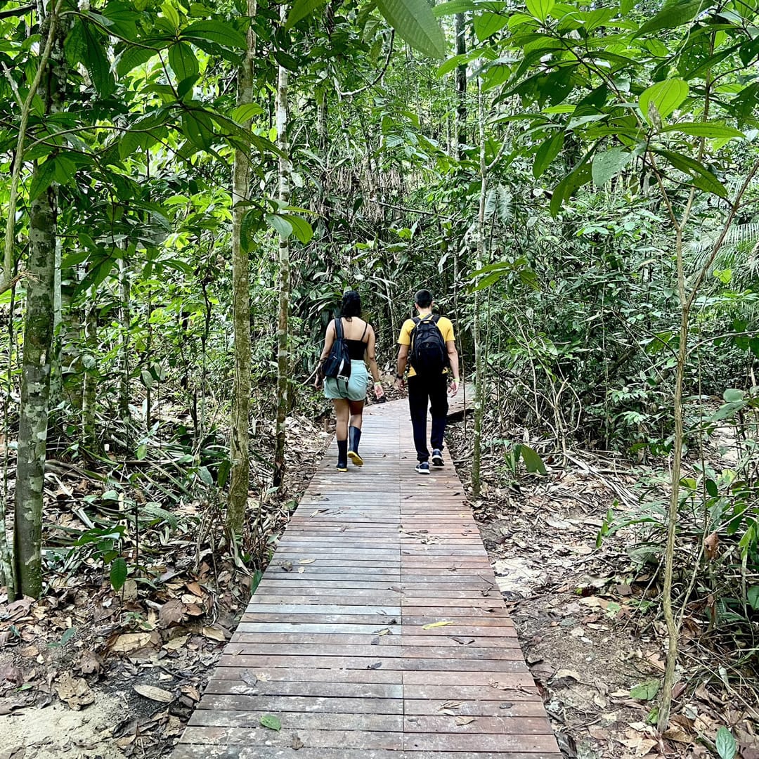 Museu da Amazônia faz promoção para visita turística em Manaus