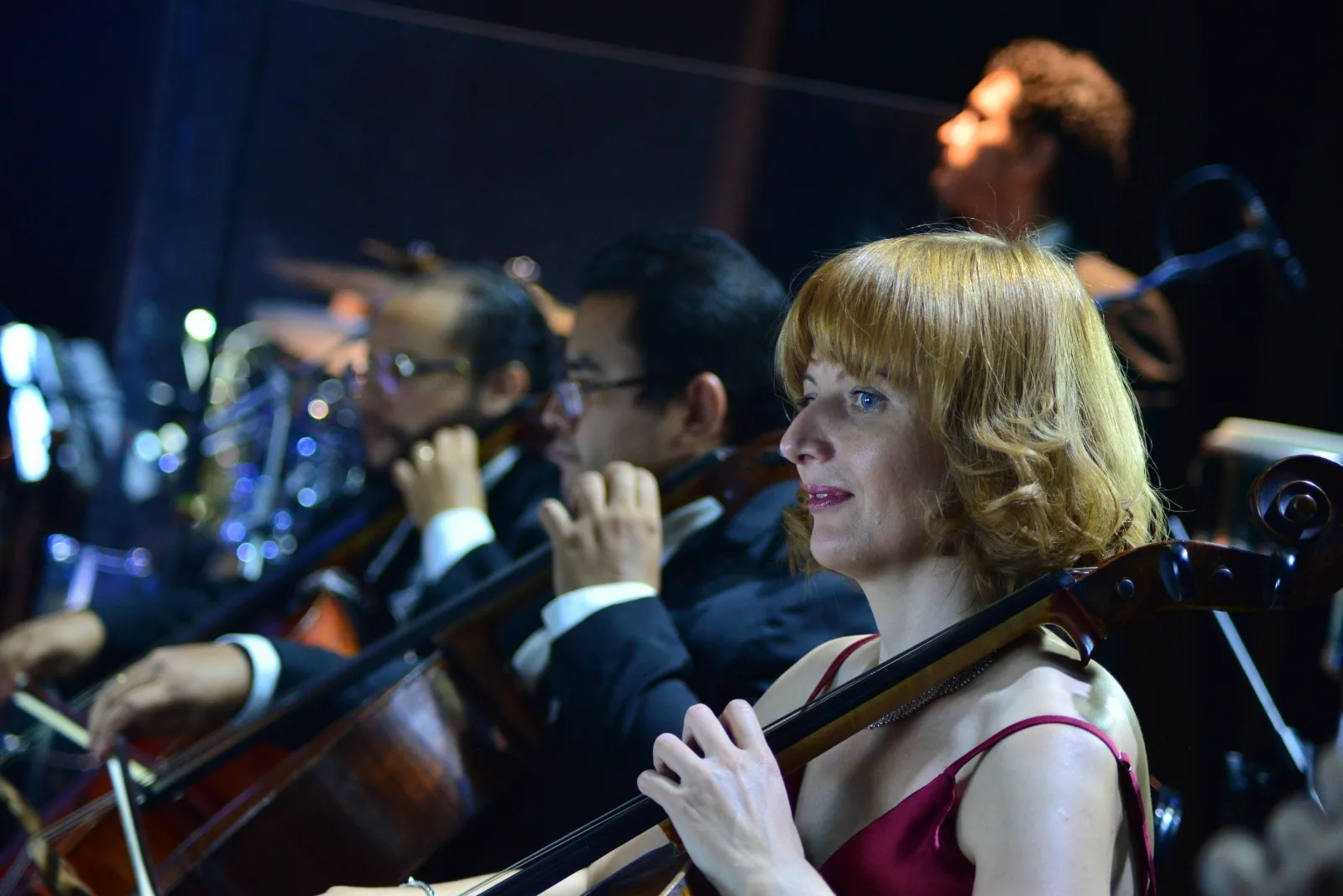 Foto: Michael Dantas/SEC-AM