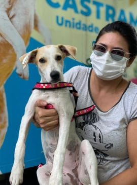 Foto: Divulgação/Sema