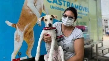 Foto: Divulgação/Sema