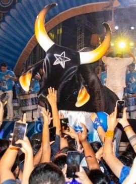 Foto: Roger Matos/Boi Caprichoso