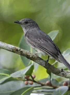 Foto: Arquivo/Secom