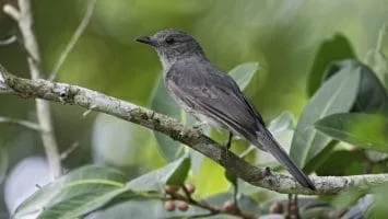 Foto: Arquivo/Secom