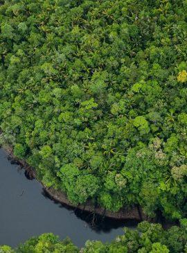 Foto: Janailton Falcão/Amazonastur