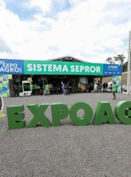 Foto: Alex Pazuello/Secom