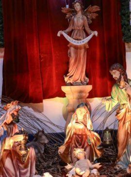  Foto: Marcely Gomes/SEC-AM