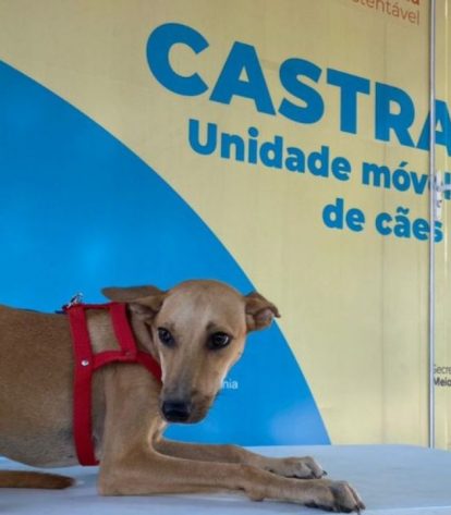 Foto: Divulgação