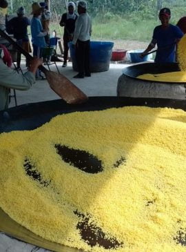  Foto: Divulgação/Idam