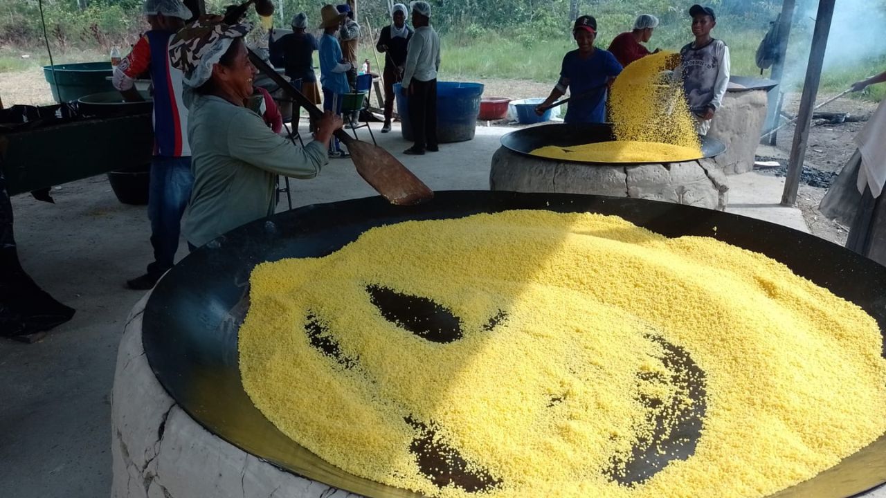  Foto: Divulgação/Idam