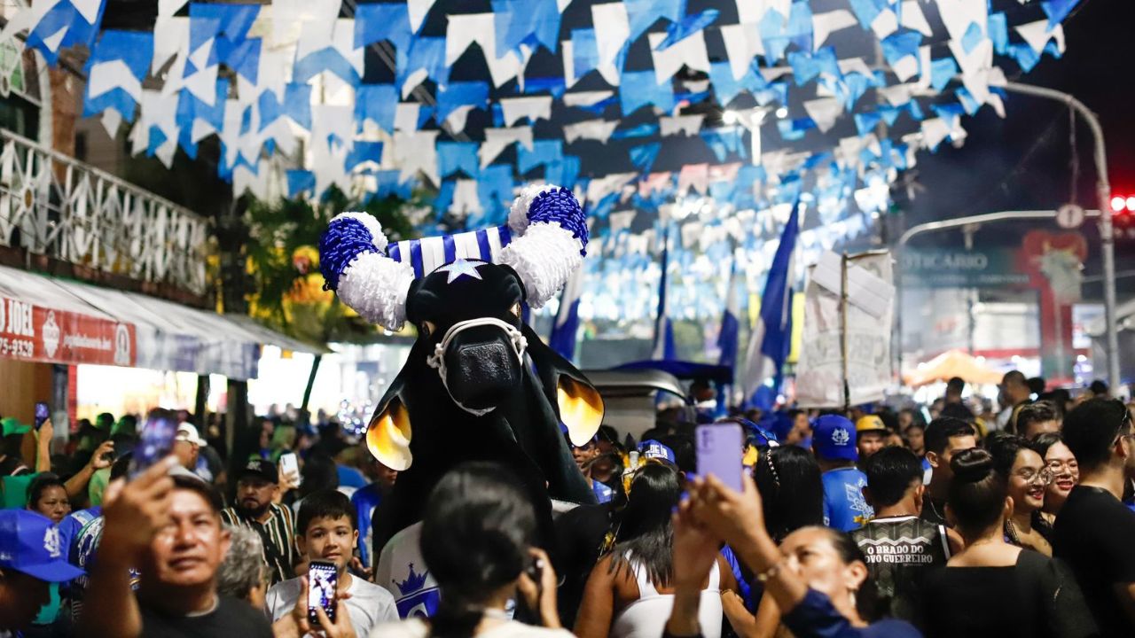 Fotos: Alexandre Vieira, Michel Amazonas e Pedro Coelho