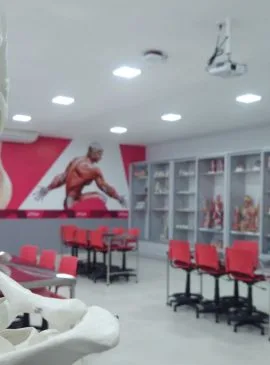  Foto: Divulgação