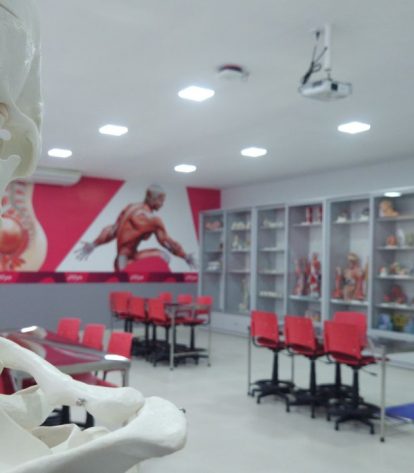  Foto: Divulgação