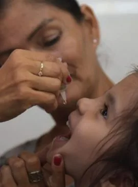  Foto: Divulgação