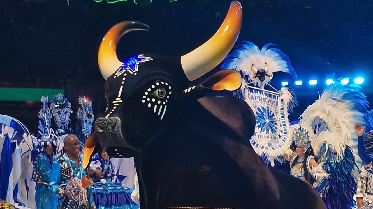  Foto: Divulgação