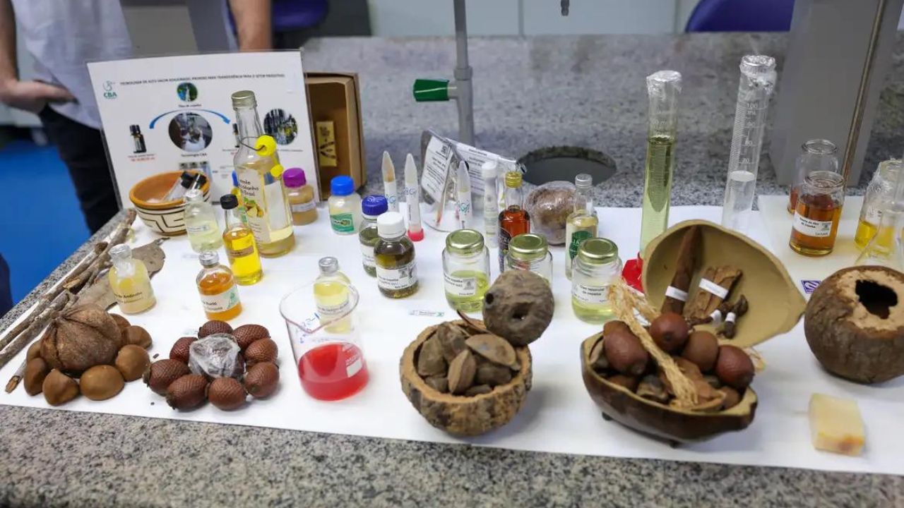  Foto: Fábio Rodrigues Pozzebom/ Agência Brasil
