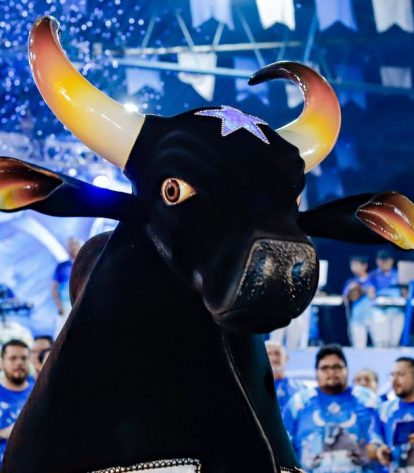  Foto: Michel Amazonas