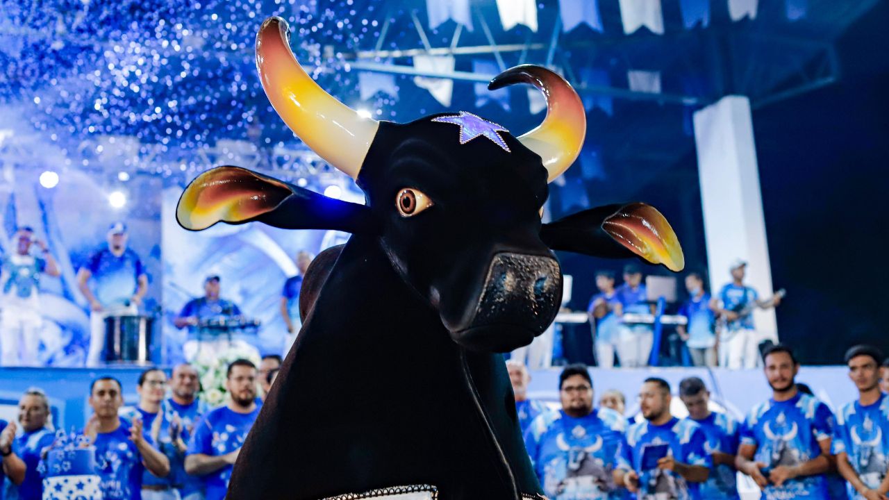  Foto: Michel Amazonas