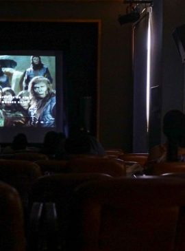  Foto: Divulgação