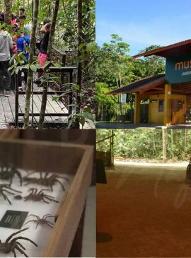  Fotos: Mario Rocha, Vanessa Gama e Reprodução/ Instagram