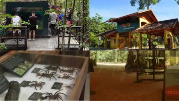  Fotos: Mario Rocha, Vanessa Gama e Reprodução/ Instagram