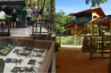  Fotos: Mario Rocha, Vanessa Gama e Reprodução/ Instagram