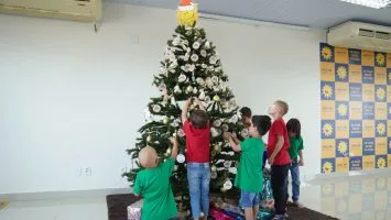 Foto:  Divulgação 