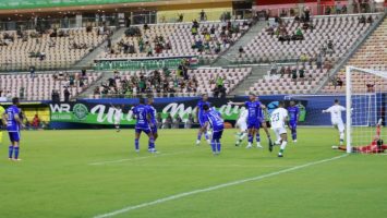  Foto:  Neto Sales