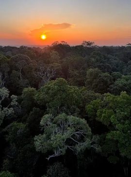 Foto: Tânia Rêgo/Agência Brasil