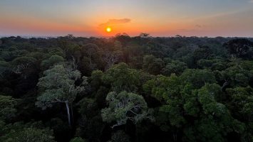 Foto: Tânia Rêgo/Agência Brasil