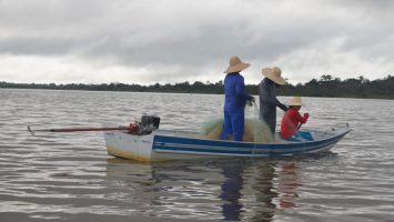 Foto: Arquivo/Ipaam