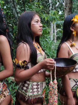  Foto:  Acervo Amazônia Stock