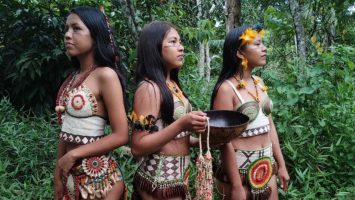  Foto:  Acervo Amazônia Stock