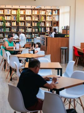 Foto:  Divulgação 