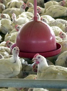 Foto: Arquivo/Agência Brasil