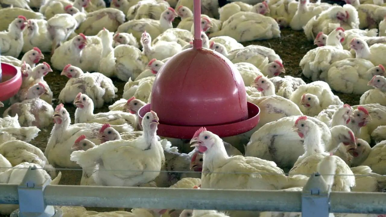 Foto: Arquivo/Agência Brasil