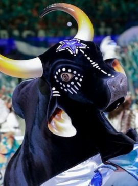 Foto: Alex Pazuello/Secom