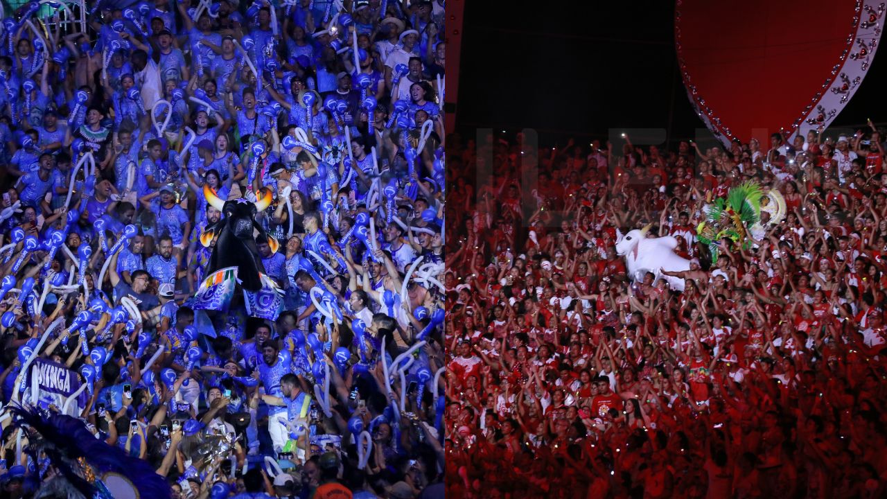 Fot: Alex Pazuello e Lucas Silva/Secom