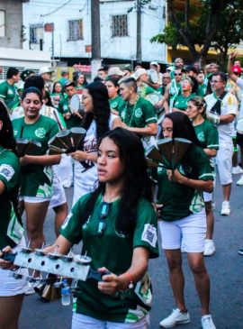 Foto: Comunicação G.R.E.S.
