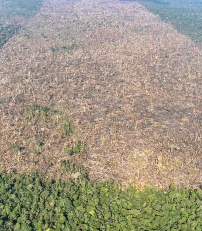 Foto: Victor Moriyama/Greenpeace
