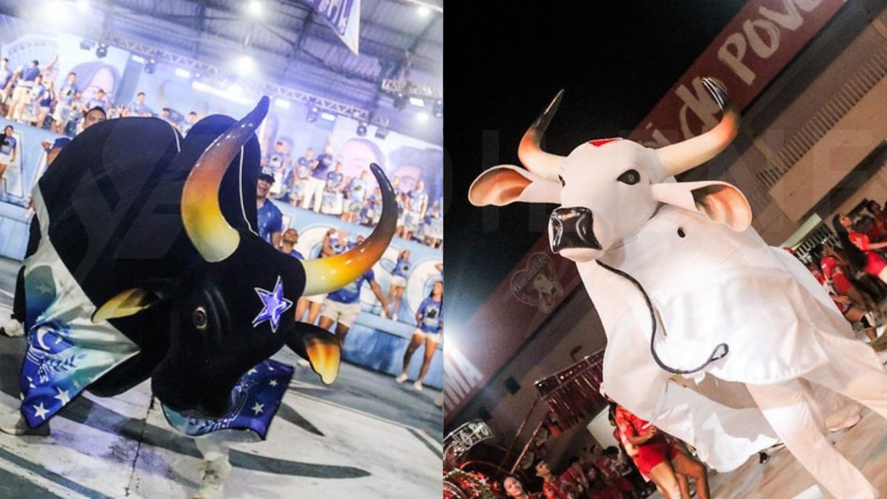 Foto: Gabi Vitim