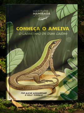 Foto: Divulgação 