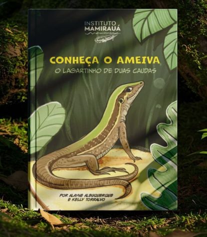  Foto: Divulgação 