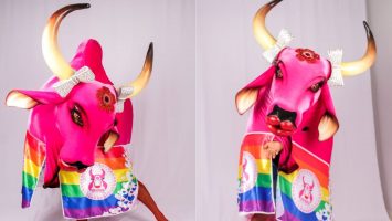 Foto Reprodução/Facebook