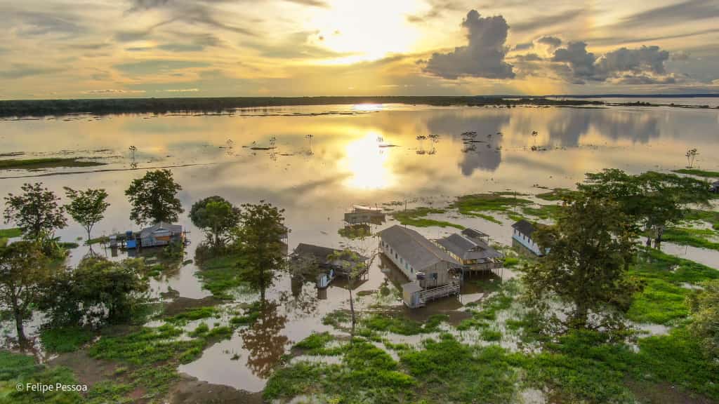Vista aérea da comunidade Ilha das Guaribas, no Rio Amazonas, com casas de palafita parcialmente alagadas durante o período de cheia. O pôr do sol reflete nas águas que cobrem a vegetação ao redor das moradias.