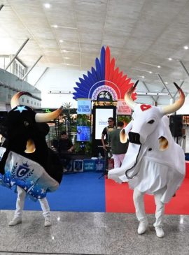 Foto: Janailton Falcão/Amazonastur